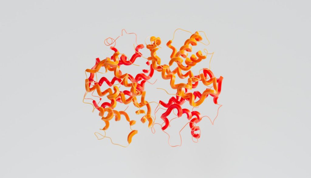 adn représentation chromosome