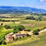 Réserver un gîte pour les vendanges : ce qu'il faut vérifier avant de payer