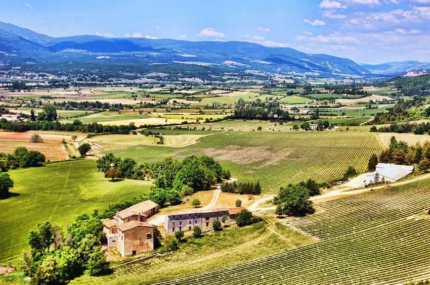 Réserver un gîte pour les vendanges : ce qu'il faut vérifier avant de payer